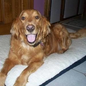 Meet your Posher, Krystle